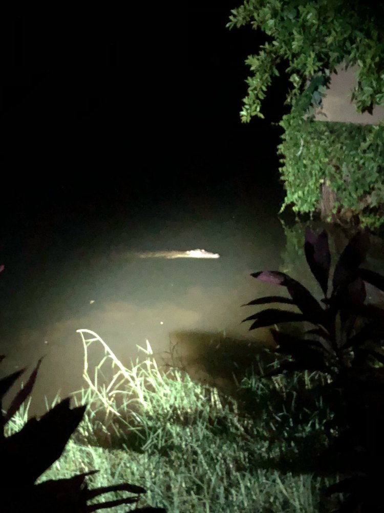 Road Dialogues Photography