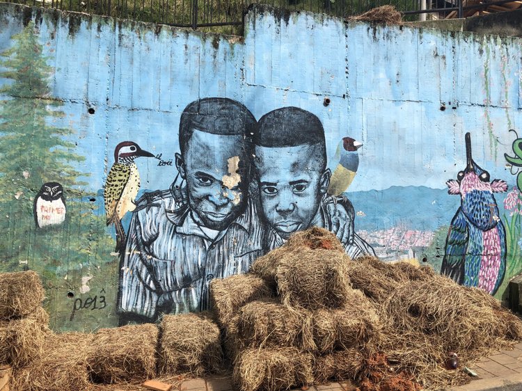 Road Dialogues Photography