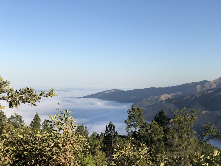 Road Dialogues Photography