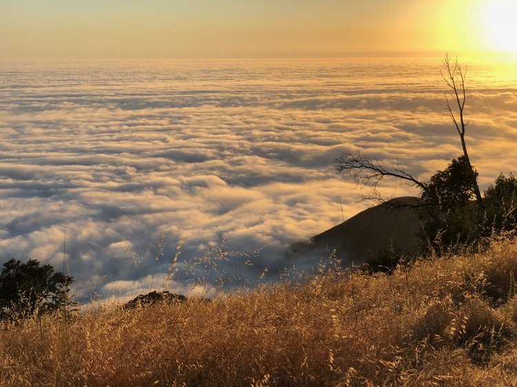 Road Dialogues Photography