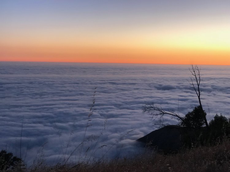 Road Dialogues Photography