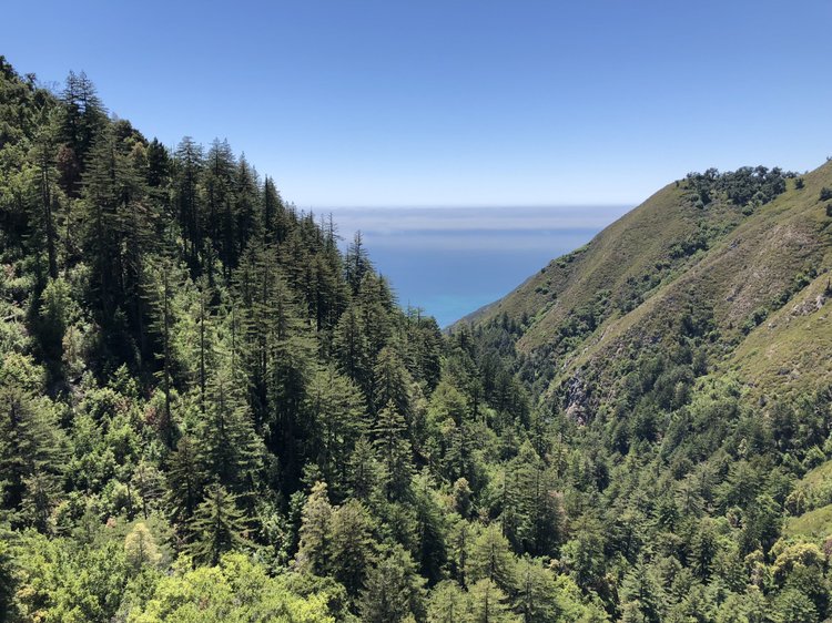 Road Dialogues Photography