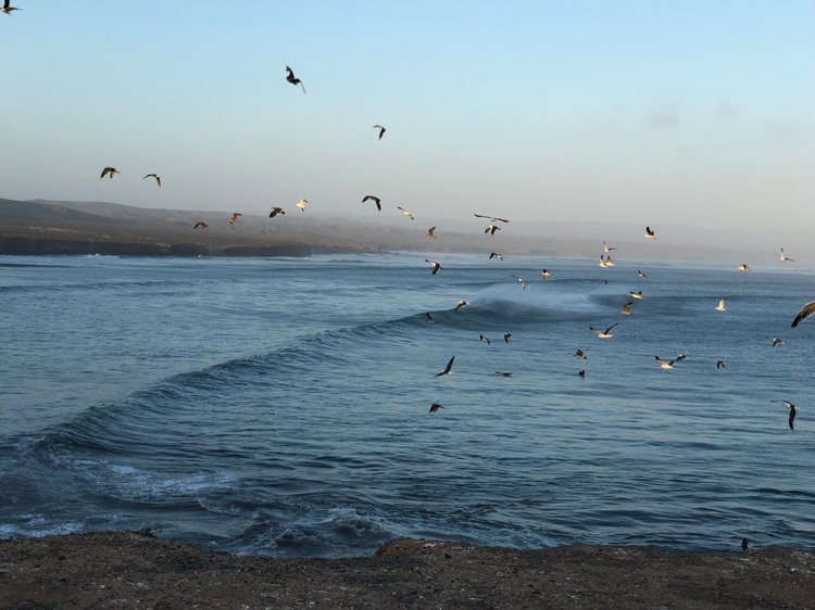 Road Dialogues Photography