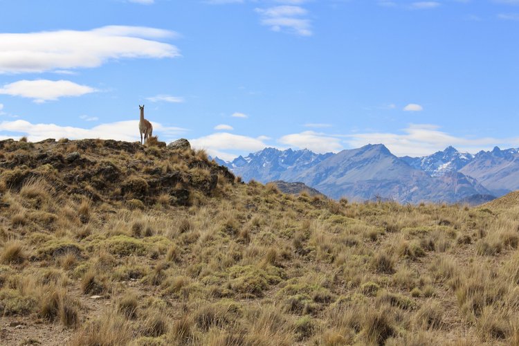 Road Dialogues Photography