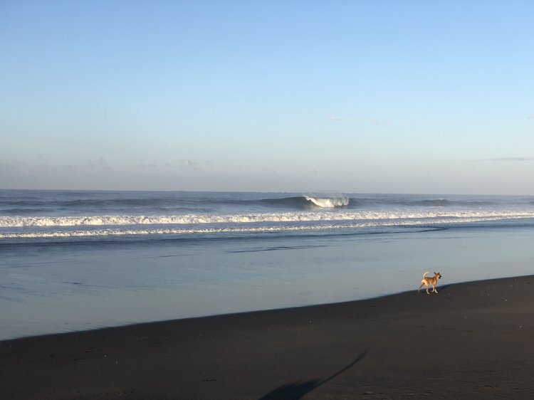 Road Dialogues Photography