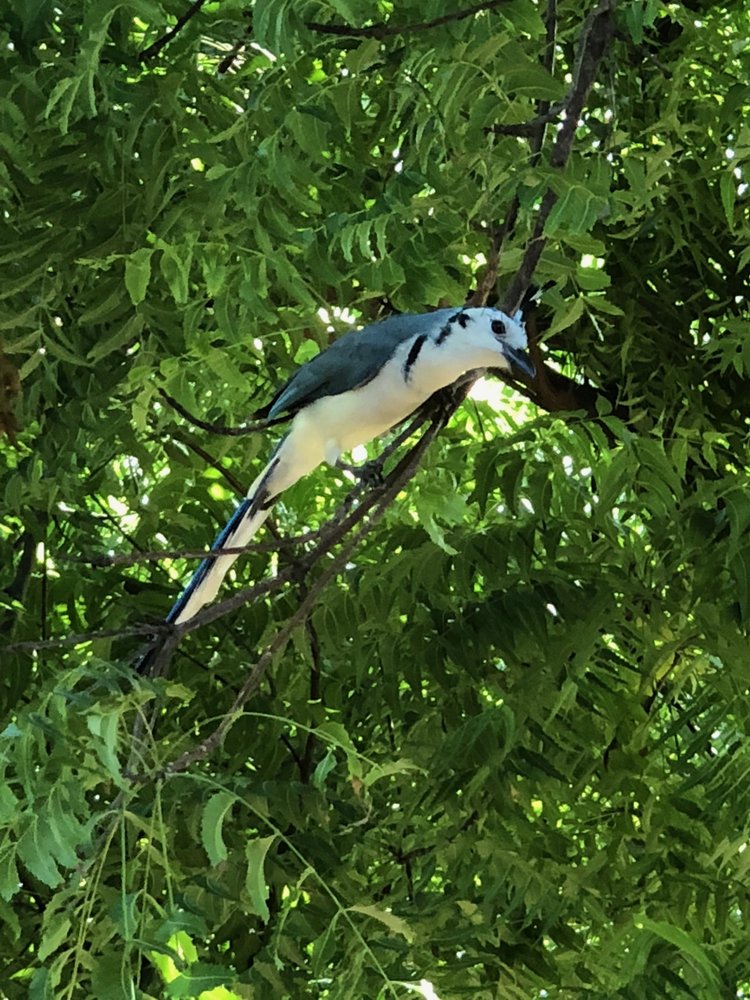 Road Dialogues Photography