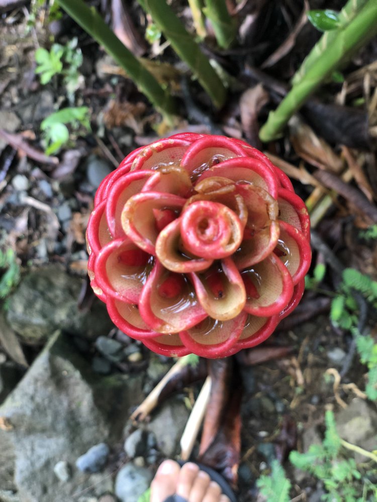 Road Dialogues Photography