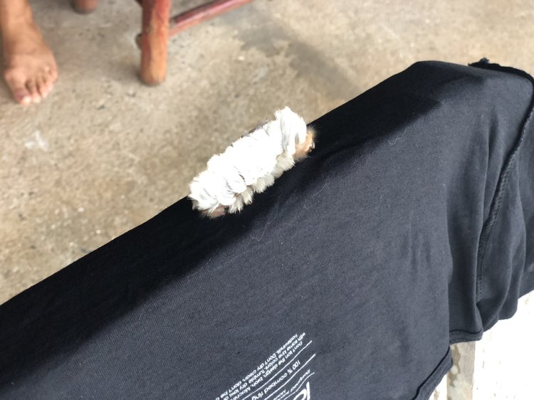 Road Dialogues Photography