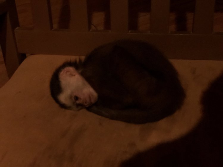 Road Dialogues Photography