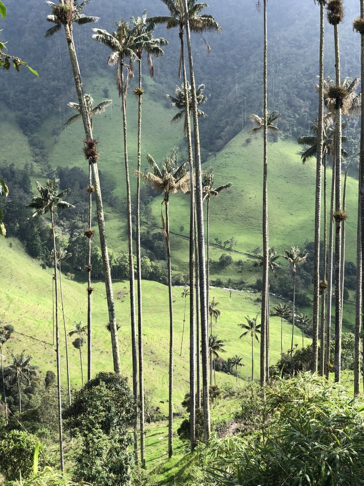 Road Dialogues Photography