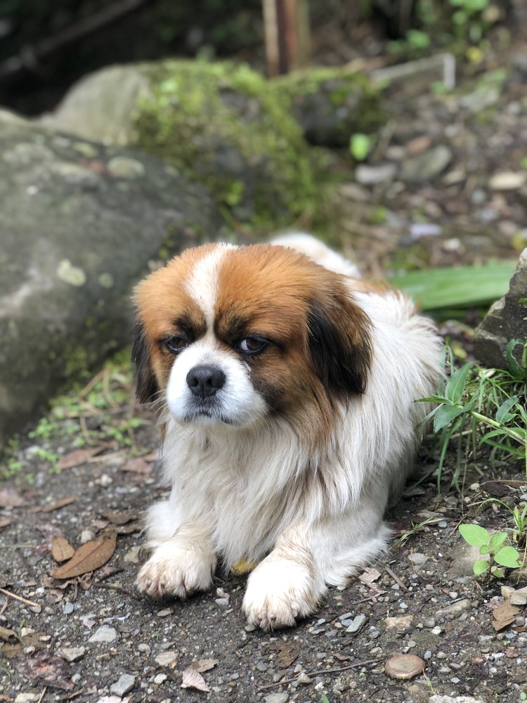 Road Dialogues Photography